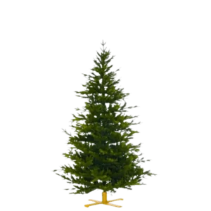 A5ba6bfd 73b3 4bd0 b27c d6d826bdd8df.png